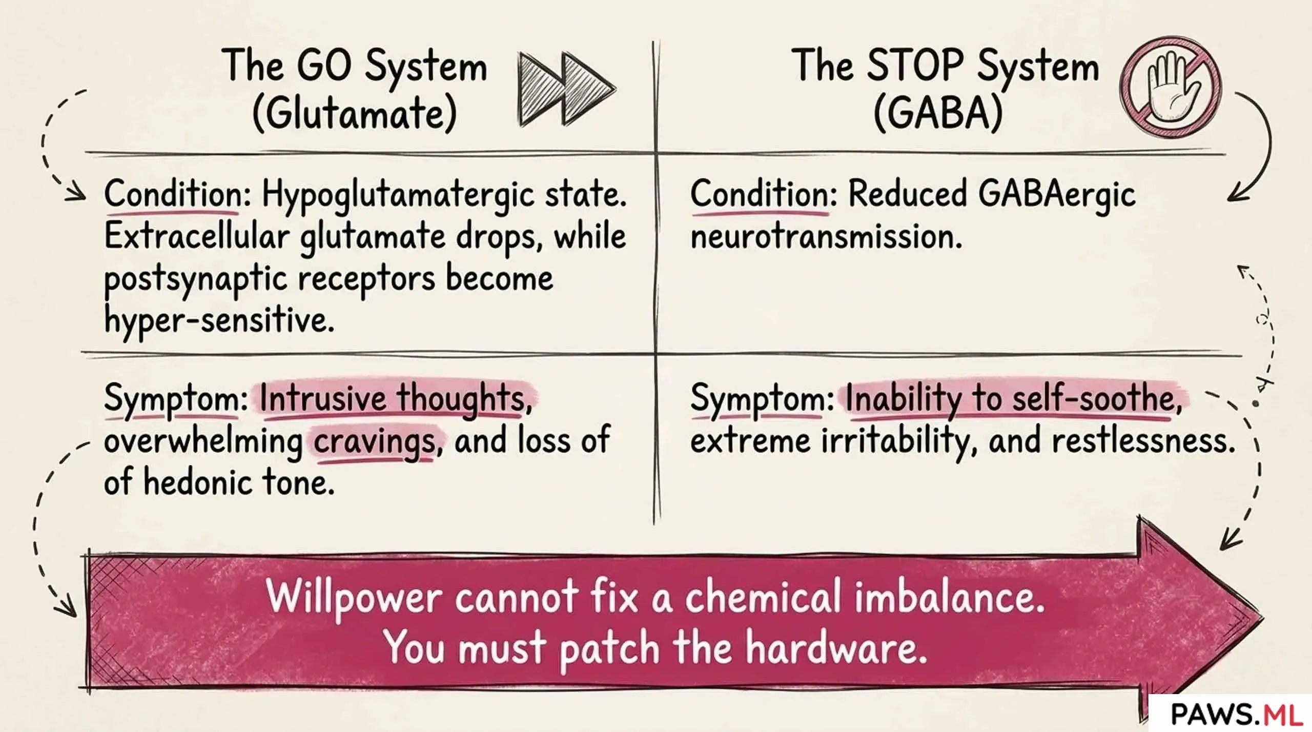 Biohacking Nicotine Withdrawal: How to Restore Dopamine and Quit with AI | PAWS.ML