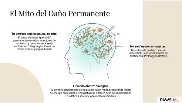 ¿Daño cerebral irreversible? Cómo restaurar la dopamina | PAWS ML AI System