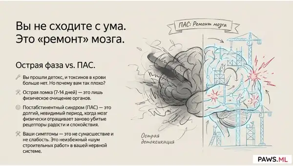 Симптомы ПАС: Полный список, причины и как облегчить состояние | PAWS ML AI System