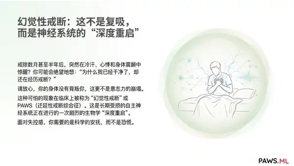幻觉性戒断与 PAWS 的“波浪式”反扑：AI 如何在戒断数月后帮你安抚迷走神经 | PAWS ML AI System