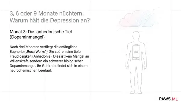3, 6 oder 9 monate nüchtern: Warum hält die depression an? | PAWS ML AI System