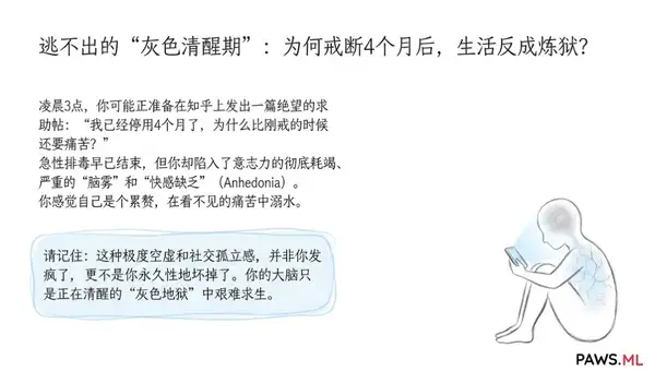 稽延性戒断综合征 (PAWS) 时间表与“灰色清醒期”：这一切何时才是尽头？ | PAWS ML AI System