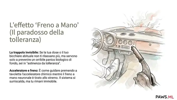 Astinenza prima di smettere: Tolleranza, PAWS e recupero cerebrale | PAWS ML AI System