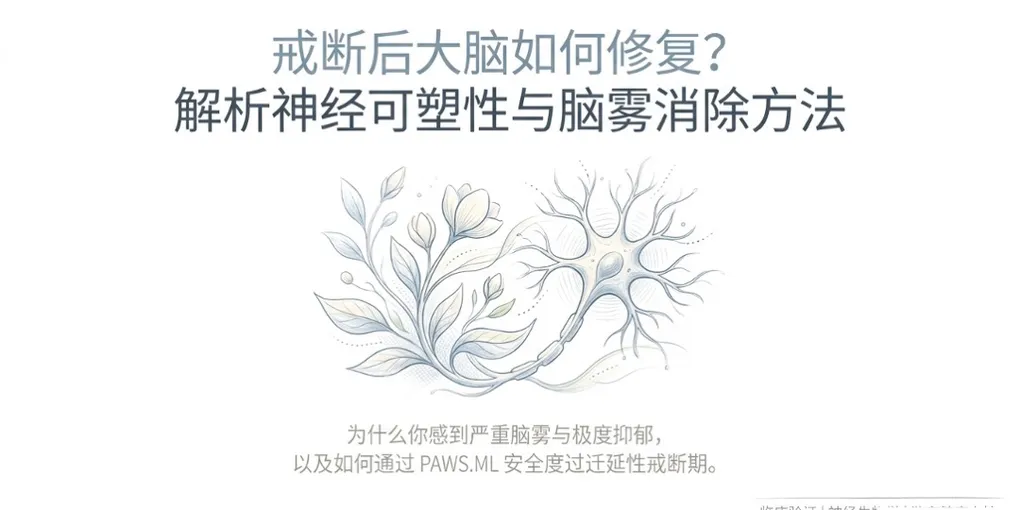戒断后大脑如何修复？解析神经可塑性与脑雾消除方法 | PAWS.ML - PAWS ML AI System