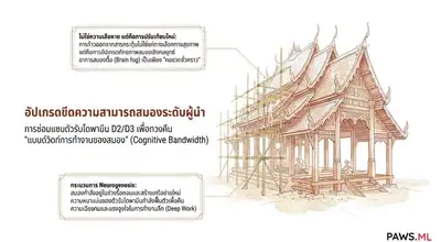 การเพิ่มประสิทธิภาพระบบประสาทสำหรับผู้บริหาร & การแฮ็กระบบชีววิทยาเพื่อการฟื้นฟู | PAWS ML AI System