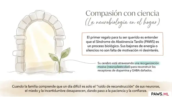 Apoyo a un ser querido en abstinencia prolongada | guía familiar PAWS.ML | PAWS ML AI System