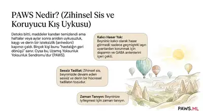 Uzamış Yoksunluk Sendromunu (PAWS) Anlamak | PAWS ML AI System