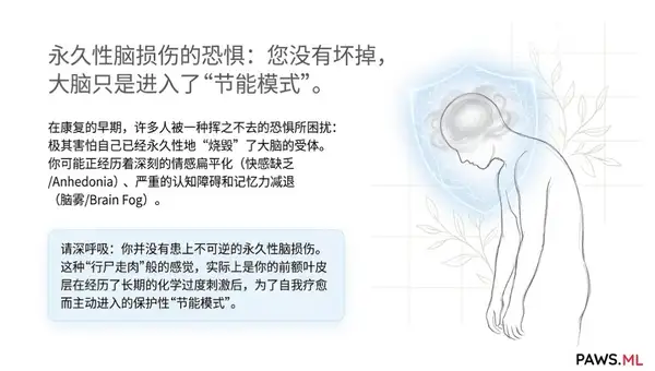 永久性脑损伤？戒断后如何恢复多巴胺受体与消除脑雾 | PAWS ML AI System