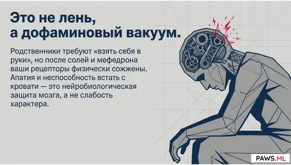 Апатия и нет сил после мефедрона (солей): Как восстановить дофамин | PAWS ML AI System