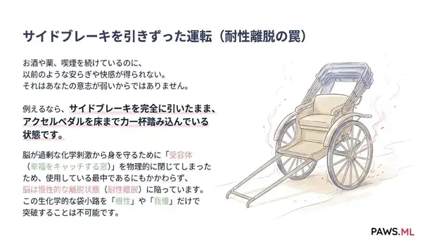 やめる前の離脱:耐性、PAWS、そして 脳の回復 | PAWS ML AI System