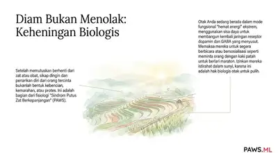 Memahami Sindrom Putus Zat Berkepanjangan (PAWS) | PAWS ML AI System