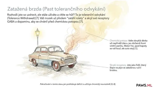 Abstinenční příznaky před odvykáním: Tolerance, PAWS a obnova mozku | PAWS ML AI System
