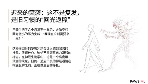 “养生”神话破灭：为什么运动和普通维生素无法缓解戒断后的疲劳？（以及AI精准修复方案） | PAWS ML AI System