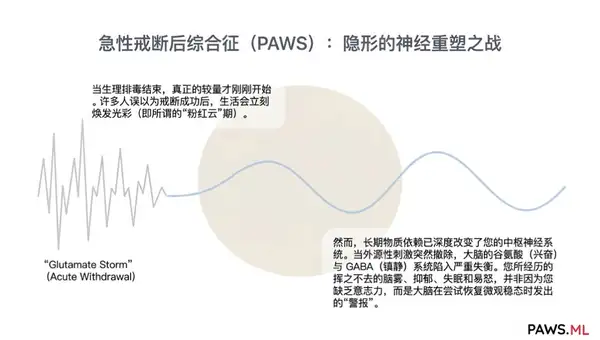 戒酒3、6、9个月:为什么依然抑郁、浑身无力? | PAWS ML AI System