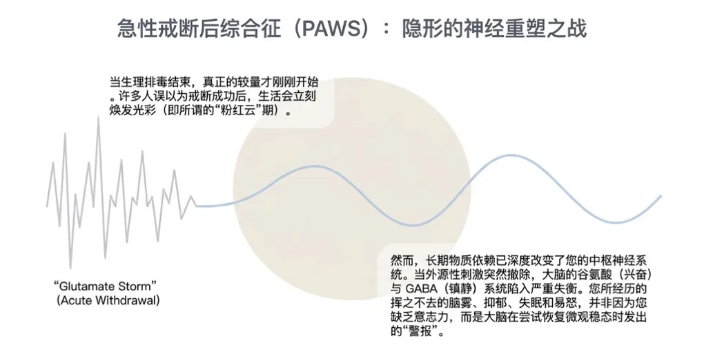 戒酒3、6、9个月：为什么依然抑郁、浑身无力？ - PAWS ML AI System