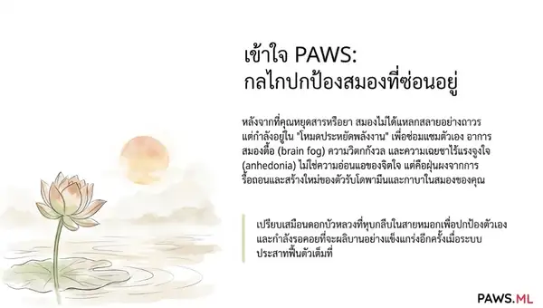 ทำความเข้าใจกลุ่มอาการถอนยาที่ยาวนาน (PAWS) | PAWS ML AI System