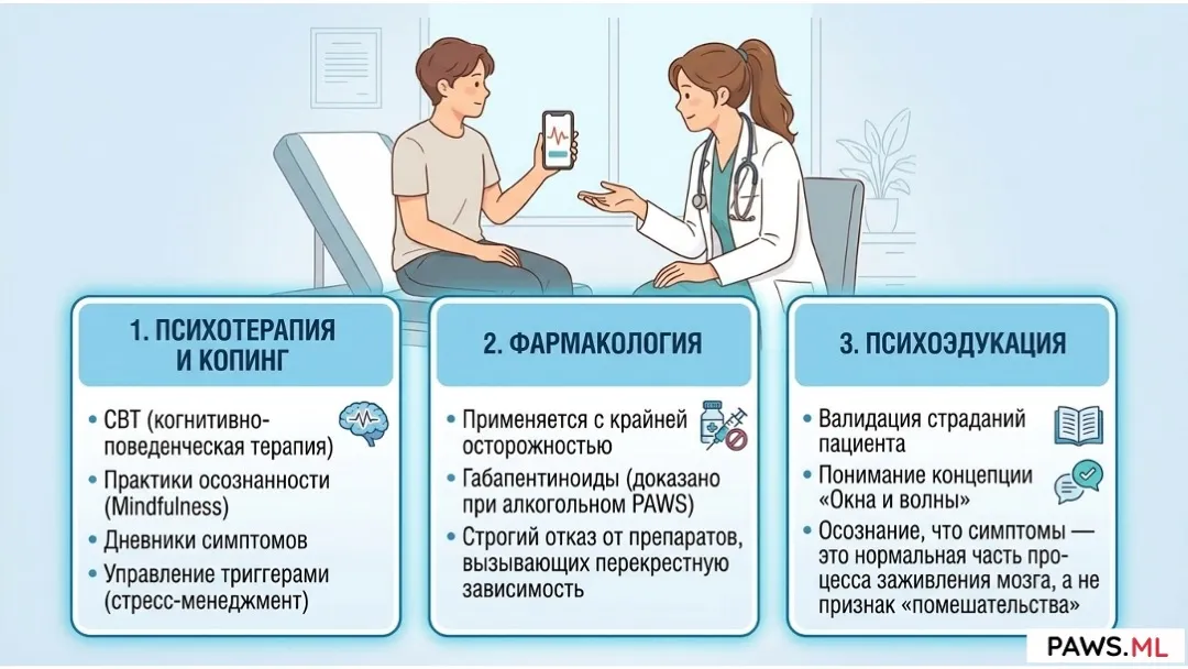 Постабстинентный синдром (ПАС / PAWS): Определение, история и научный статус | PAWS.ML