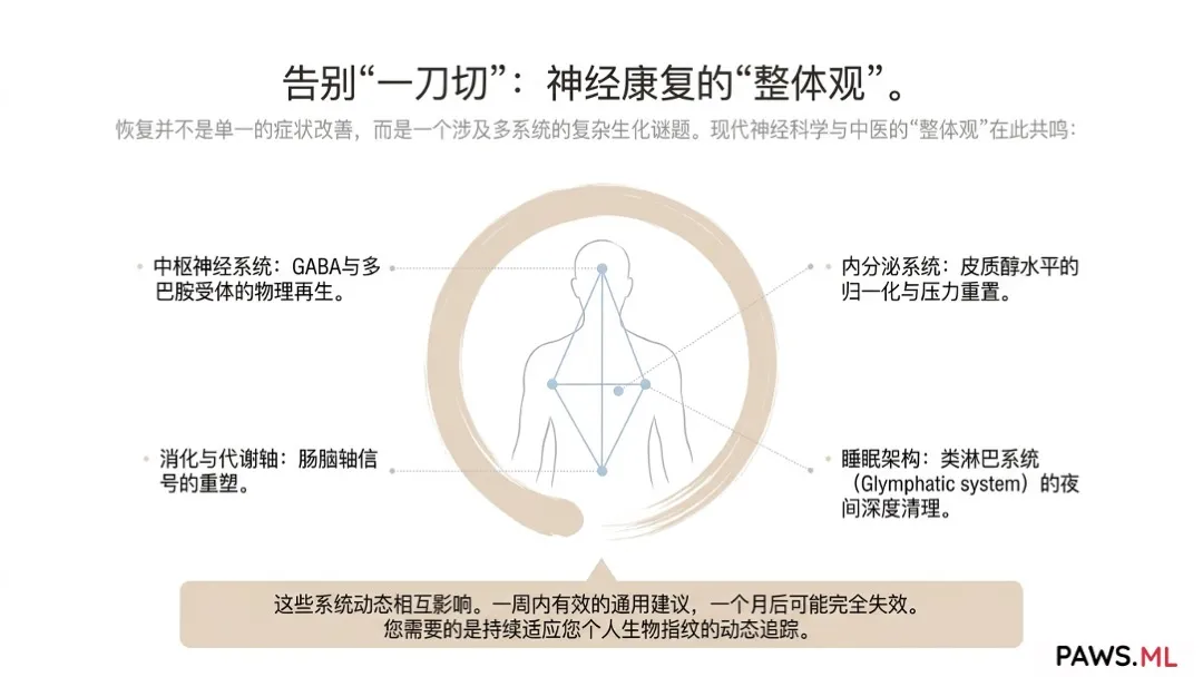 迁延性戒断期匿名支持:24/7 AI 神经康复伴侣 | PAWS.ML