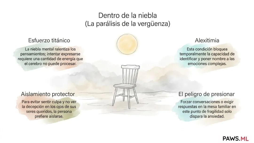 El muro de silencio tras dejar adicciones | PAWS.ML
