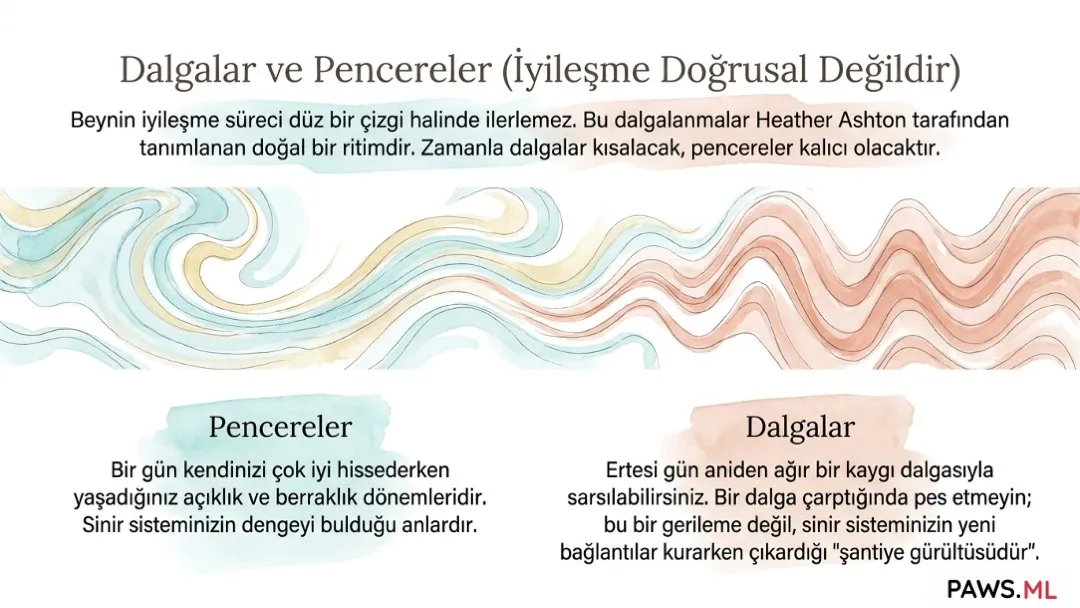 Uzamış Yoksunluk Sendromunu (PAWS) Anlamak | PAWS.ML