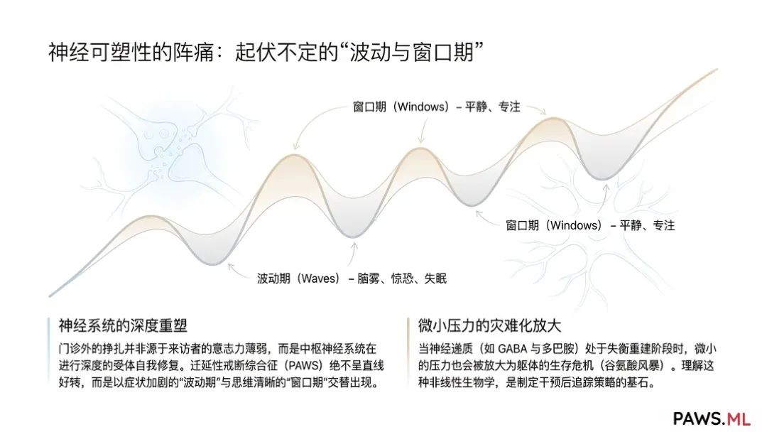 心理咨询师与教练的数字 aftercare 工具 | PAWS.ML