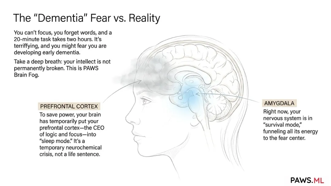 PAWS brain fog: Cognitive symptoms & recovery timeline | PAWS.ML