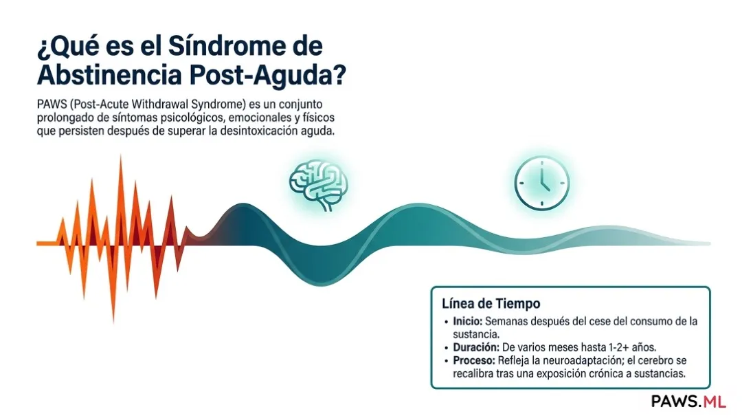Síndrome de Abstinencia Prolongada (PAWS): definición, historia y estatus científico | PAWS.ML