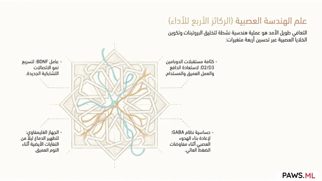 التحسين العصبي التنفيذي والاختراق الحيوي للتعافي | PAWS.ML