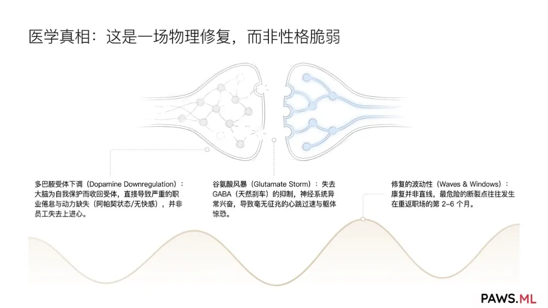 企业匿名神经康复福利与 PAWS AI 支持 | PAWS.ML