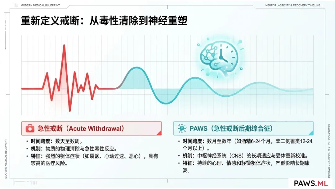 迁延性戒断综合征 (PAWS)：定义、历史演变与科学地位 | PAWS.ML