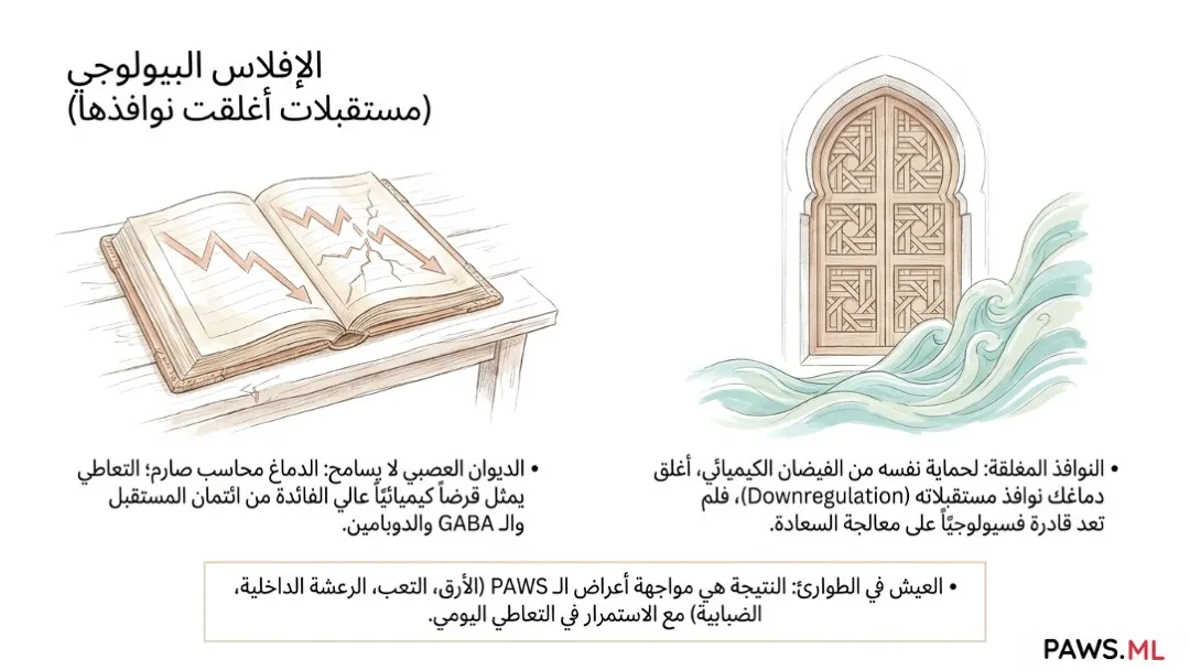 الانسحاب قبل الإقلاع: التحمل، PAWS، وتعافي الدماغ | PAWS.ML