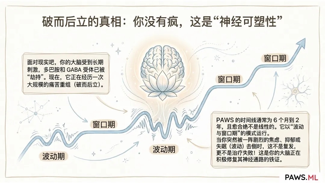 “这到底什么时候是个头?”:关于PAWS时间表的赤裸真相以及如何熬过清醒的灰色地狱 | PAWS.ML