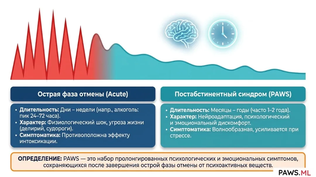 Постабстинентный синдром (ПАС / PAWS): Определение, история и научный статус | PAWS.ML