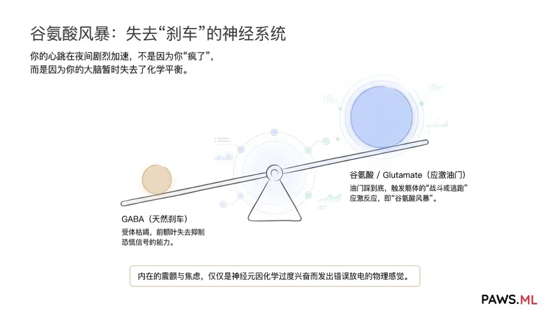 幻觉性戒断与 PAWS 的“波浪式”反扑:AI 如何在戒断数月后帮你安抚迷走神经 | PAWS.ML