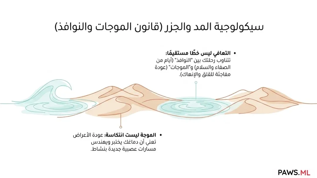 فهم متلازمة الانسحاب المطول (PAWS) | PAWS.ML