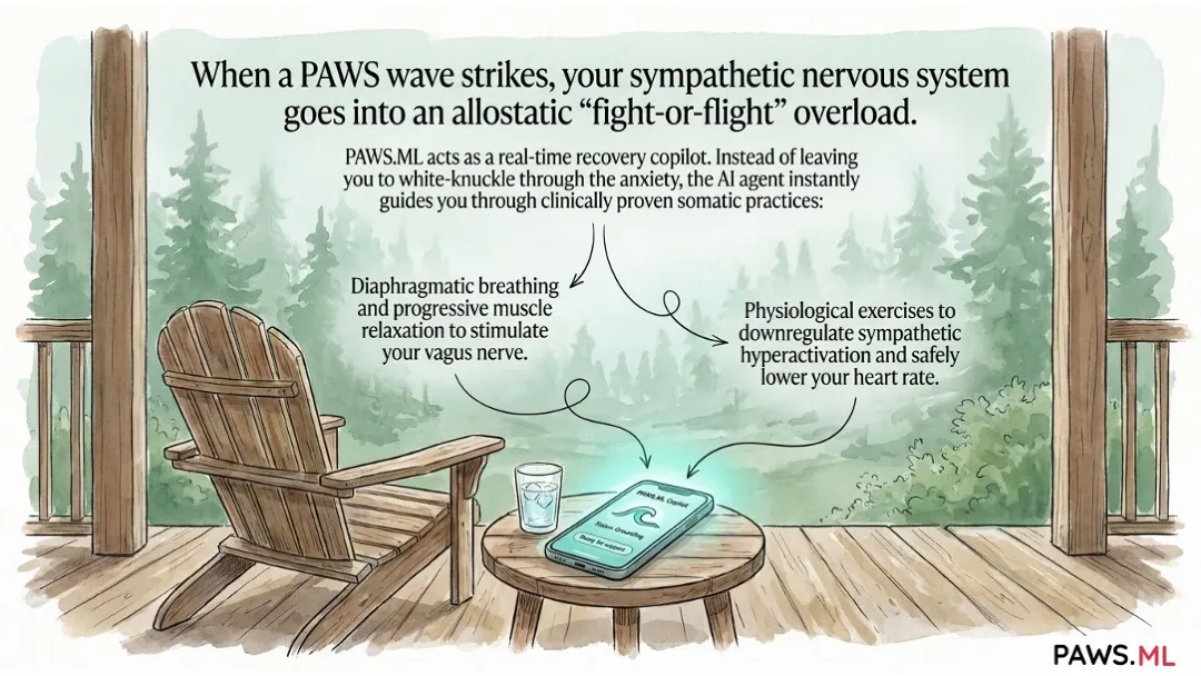 Phantom withdrawal & PAWS waves: How AI helps soothe the vagus nerve months after quitting | PAWS.ML