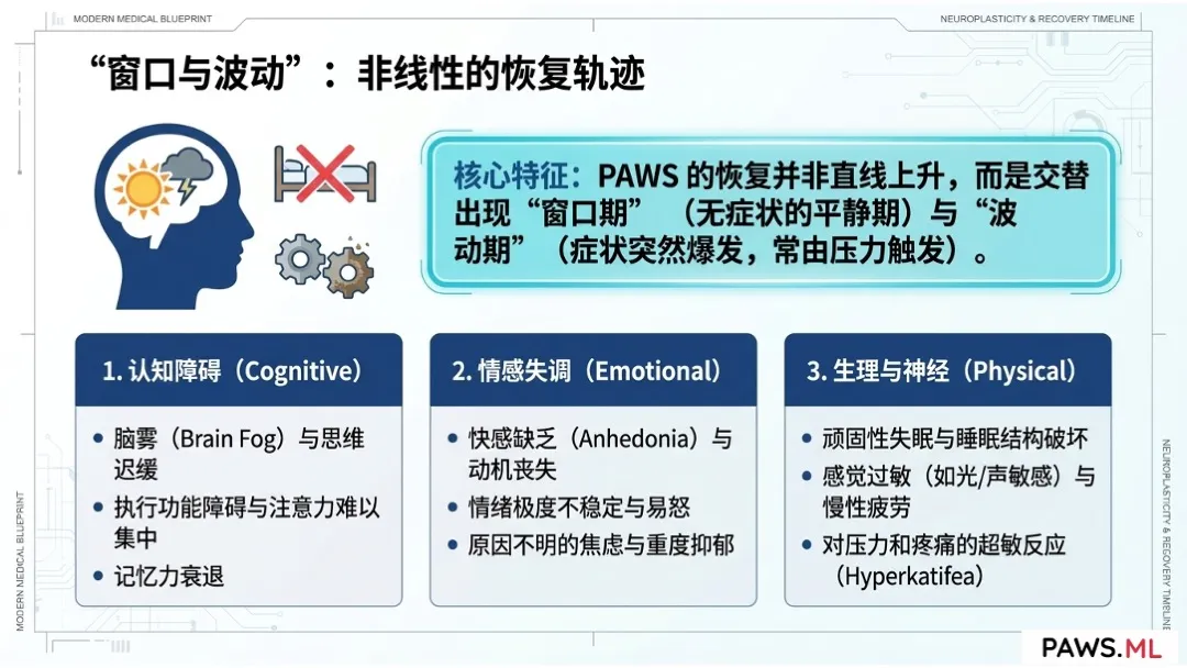 迁延性戒断综合征 (PAWS)：定义、历史演变与科学地位 | PAWS.ML