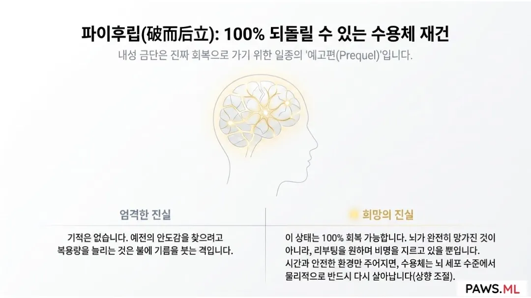 끊기 전에 시작되는 금단 증상: 내성과 PAWS 뇌의 회복 | PAWS.ML