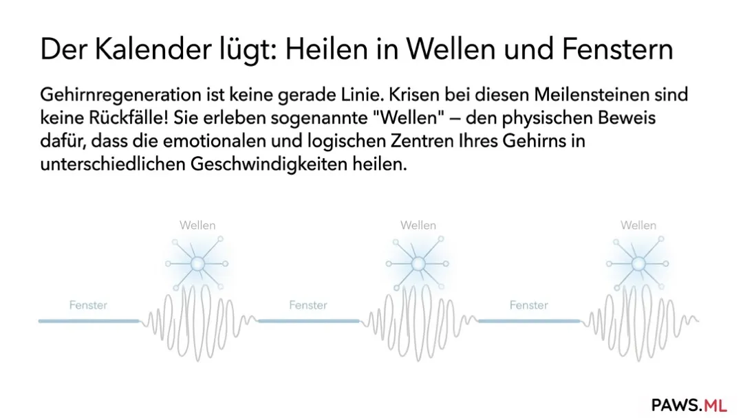 3, 6 oder 9 monate nüchtern: Warum hält die depression an? | PAWS.ML