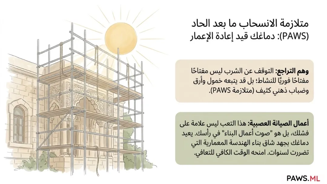 لماذا قد تشعر أنك 'طبيعي' أثناء الشرب—حتى اللحظة التي تحاول فيها التوقف | PAWS.ML