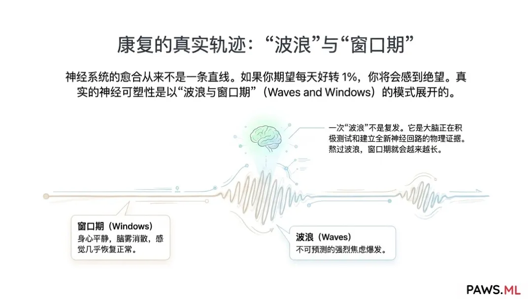 幻觉性戒断与 PAWS 的“波浪式”反扑:AI 如何在戒断数月后帮你安抚迷走神经 | PAWS.ML