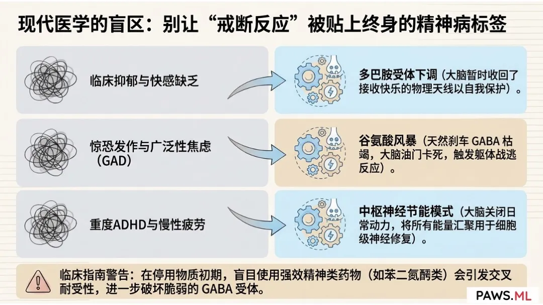 稽延性戒断综合征 (PAWS) 时间表与“灰色清醒期”:这一切何时才是尽头? | PAWS.ML