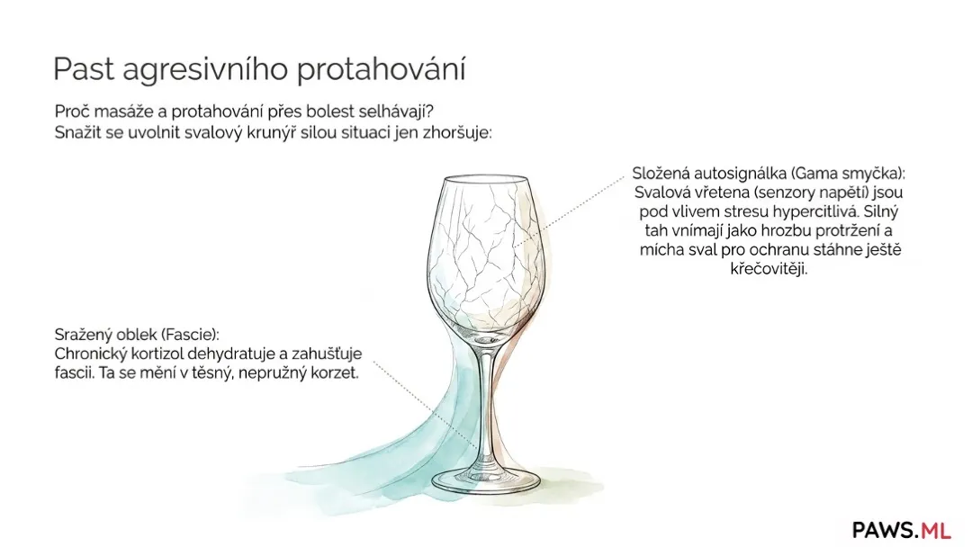 Fenomén „dřevěného těla“: Proč cítíte svalový pancíř a jak si váš nervový systém bere tělo jako rukojmí | PAWS.ML