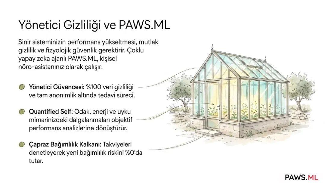 Yöneticiler için nöro-optimizasyon ve biohacking ile iyileşme | PAWS.ML
