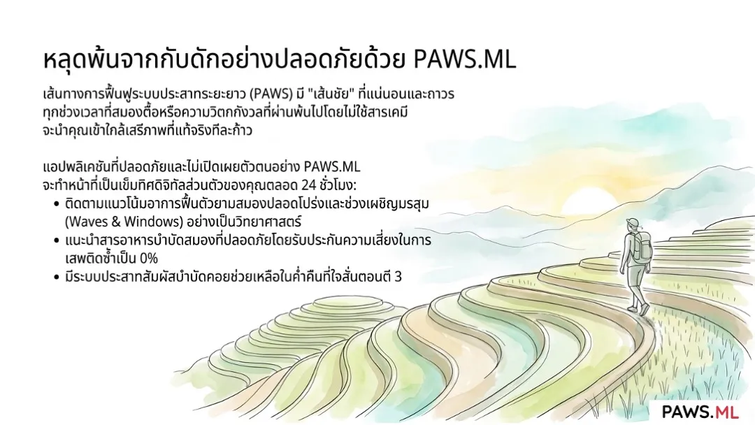 อาการถอนยาก่อนเลิก: ภาวะดื้อยา PAWS และการฟื้นฟูสมอง | PAWS.ML