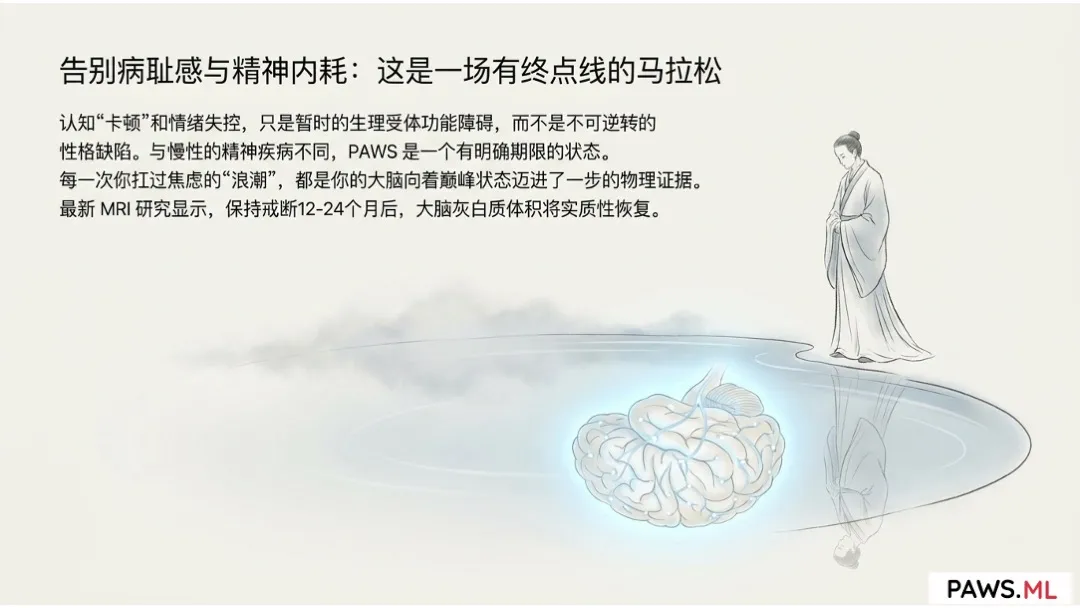 稽延性戒断综合征 (PAWS) 时间表与“灰色清醒期”:这一切何时才是尽头? | PAWS.ML