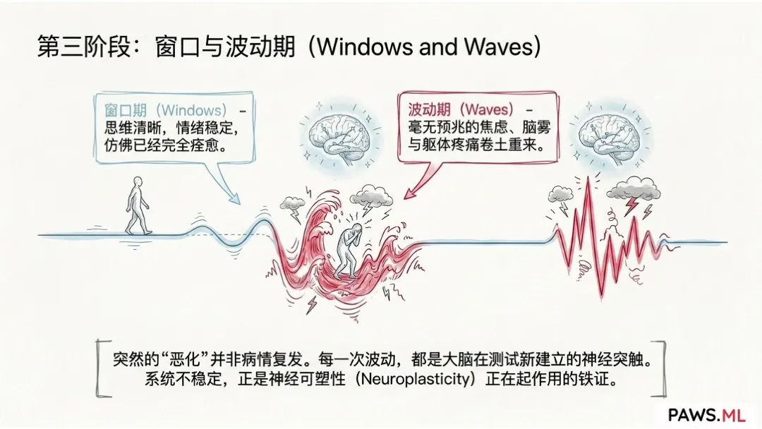 完整戒断反应时间表：为什么PAWS(迁延性戒断)的第45天比第5天更难熬？ | PAWS.ML
