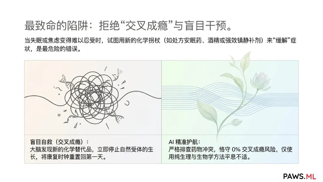 永久性脑损伤?戒断后如何恢复多巴胺受体与消除脑雾 | PAWS.ML
