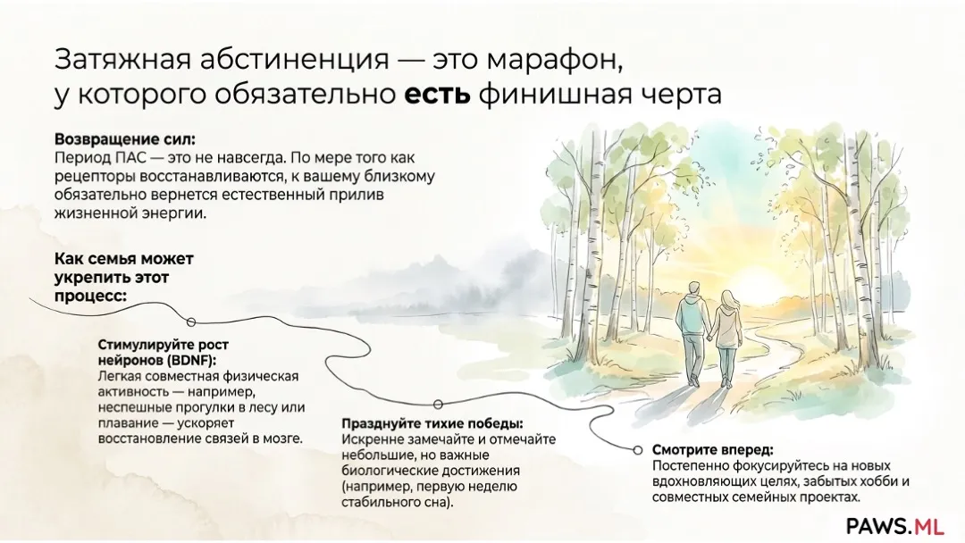 Поддержка близкого при постабстинентном синдроме | Руководство PAWS.ML