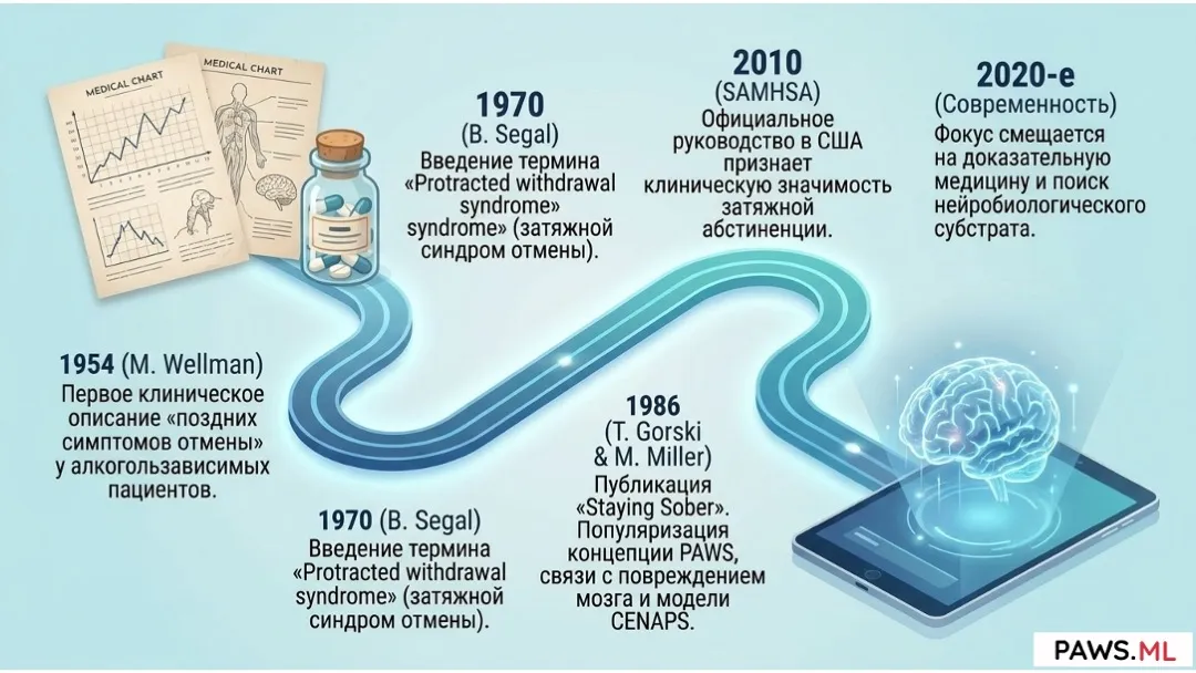 Постабстинентный синдром (ПАС / PAWS): Определение, история и научный статус | PAWS.ML